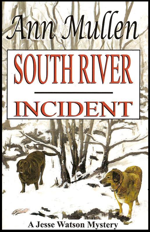 South River Incident